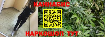 трава Новозыбков
