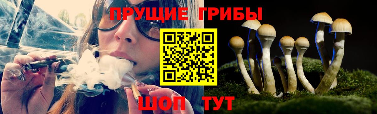 Псилоцибиновые грибы прущие грибы  Вход с VPN  Обь 